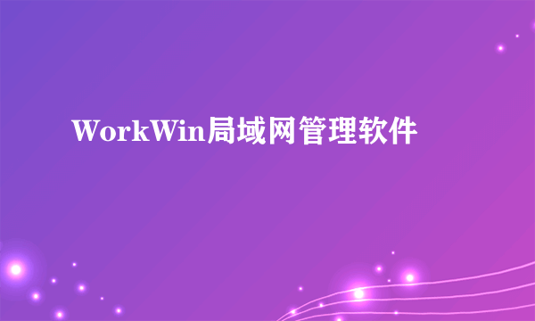 WorkWin局域网管理软件