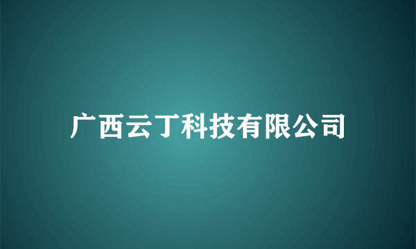 广西云丁科技有限公司