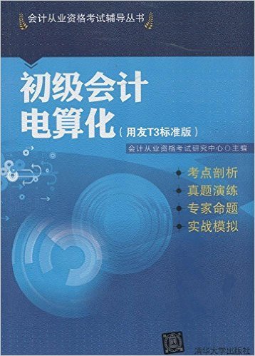 初级会计电算化（用友T3标准版）