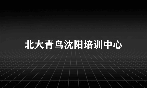 北大青鸟沈阳培训中心