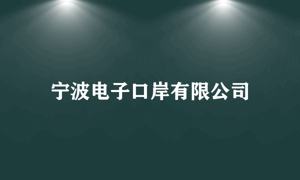 宁波电子口岸有限公司