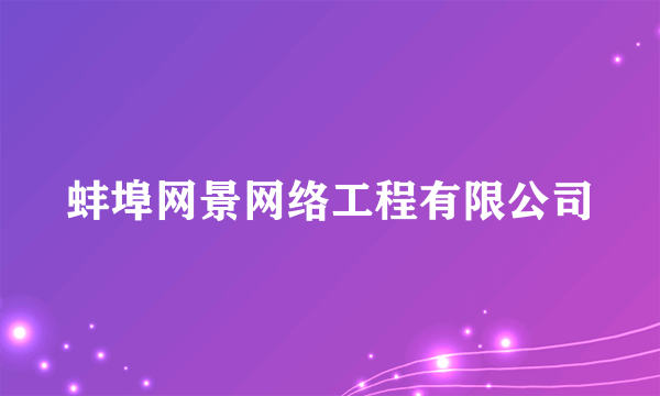 蚌埠网景网络工程有限公司