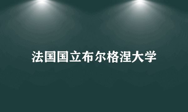 法国国立布尔格涅大学