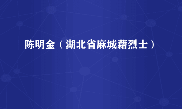 陈明金（湖北省麻城藉烈士）