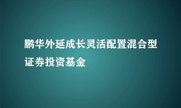 鹏华外延成长灵活配置混合型证券投资基金