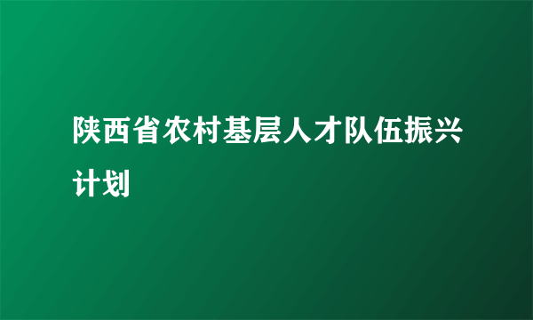 陕西省农村基层人才队伍振兴计划