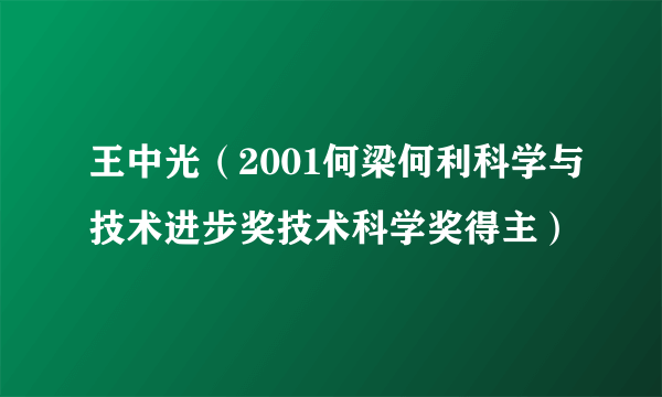 王中光（2001何梁何利科学与技术进步奖技术科学奖得主）