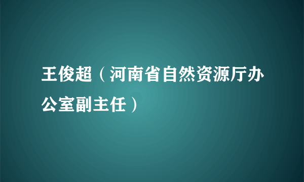 王俊超（河南省自然资源厅办公室副主任）