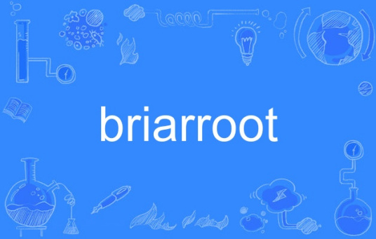 briarroot