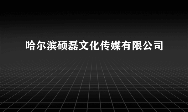 哈尔滨硕磊文化传媒有限公司