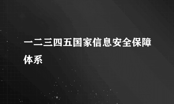 一二三四五国家信息安全保障体系