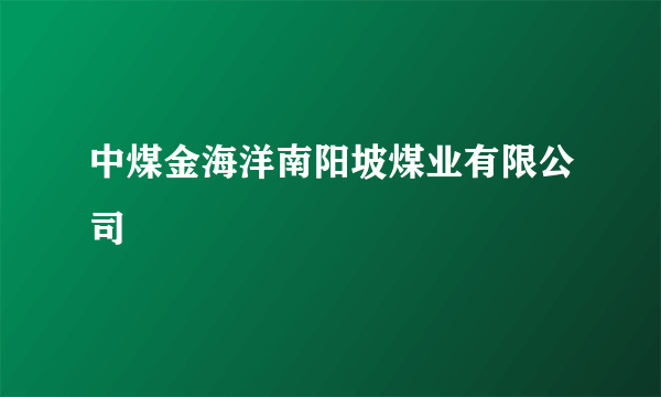 中煤金海洋南阳坡煤业有限公司