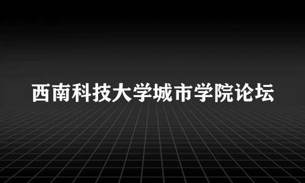 西南科技大学城市学院论坛