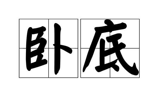 卧底（词语释义）