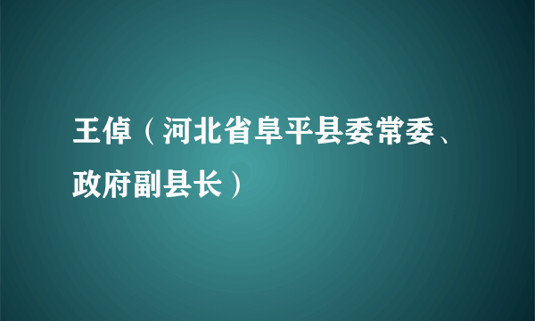 王倬（河北省阜平县委常委、政府副县长）