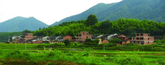 官林村（福建省莆田市涵江区秋芦镇下辖村）