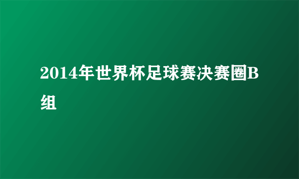 2014年世界杯足球赛决赛圈B组