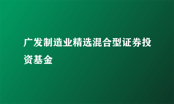 广发制造业精选混合型证券投资基金