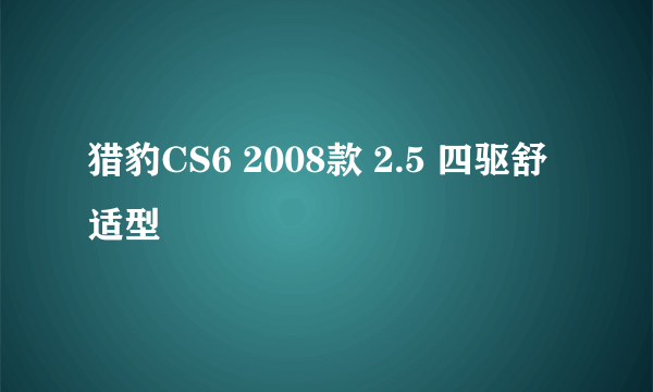 猎豹CS6 2008款 2.5 四驱舒适型