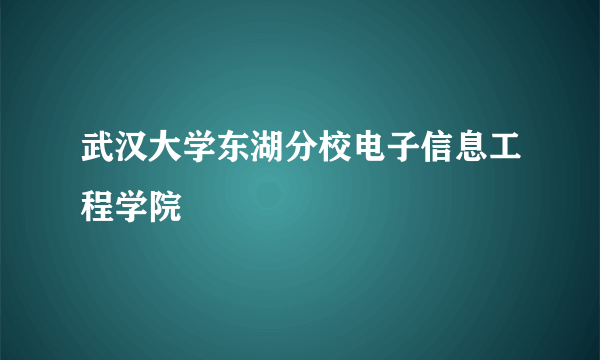 武汉大学东湖分校电子信息工程学院