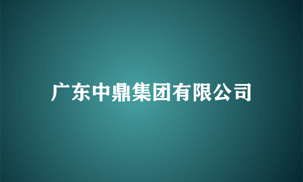 广东中鼎集团有限公司