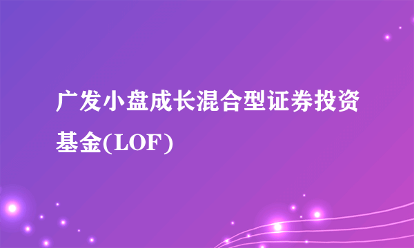 广发小盘成长混合型证券投资基金(LOF)