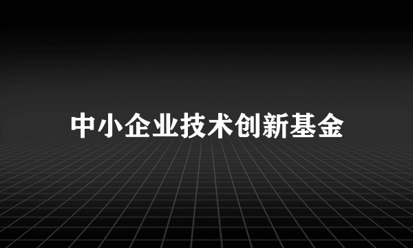 中小企业技术创新基金