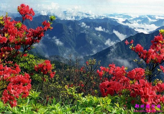 龙泉山（山东省沂水县龙泉山）