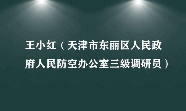 王小红（天津市东丽区人民政府人民防空办公室三级调研员）