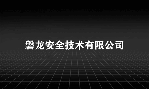 磐龙安全技术有限公司