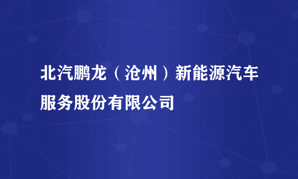 北汽鹏龙（沧州）新能源汽车服务股份有限公司