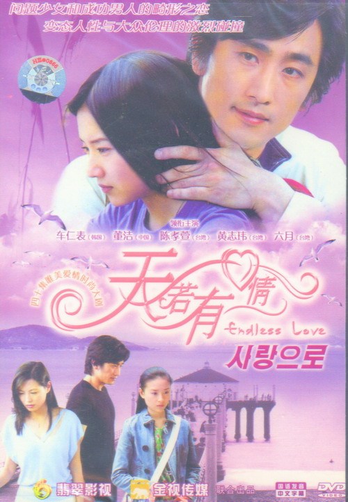 天若有情（2005年董洁、车仁表主演电视剧）