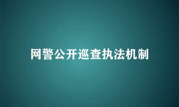 网警公开巡查执法机制