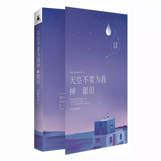 天空不要为我掉眼泪（2016年中国书籍出版社出版的图书）