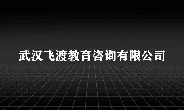 武汉飞渡教育咨询有限公司