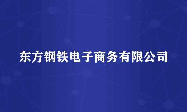 东方钢铁电子商务有限公司