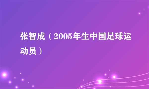 张智成（2005年生中国足球运动员）