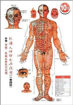 标准人体针灸穴位图