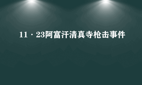 11·23阿富汗清真寺枪击事件