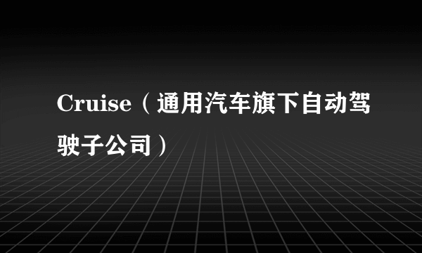 Cruise（通用汽车旗下自动驾驶子公司）