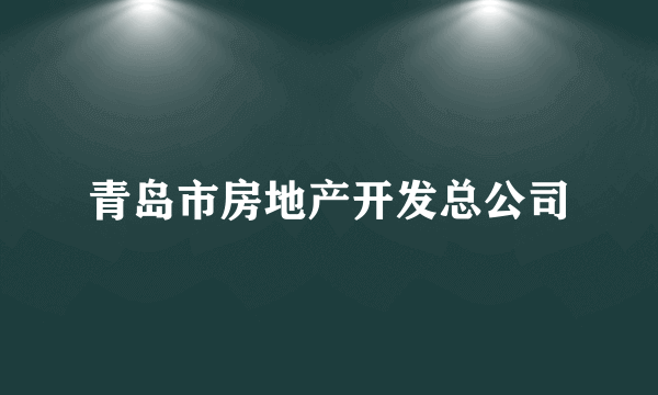 青岛市房地产开发总公司