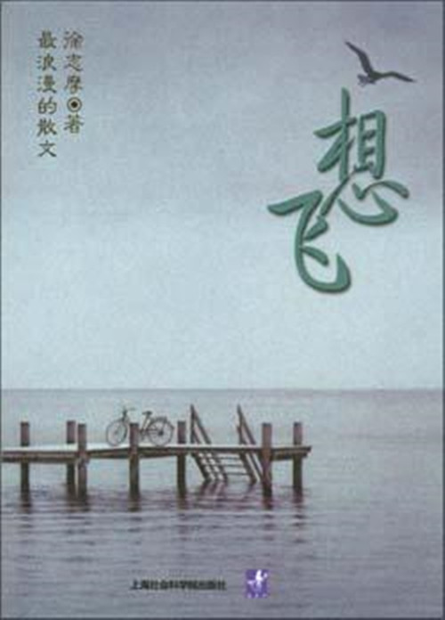 想飞（2003年上海社会科学院出版社出版的图书）