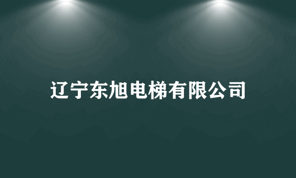 辽宁东旭电梯有限公司