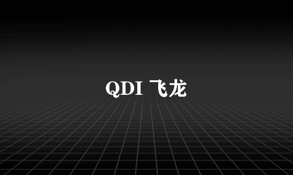 QDI 飞龙