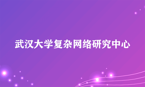 武汉大学复杂网络研究中心