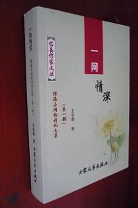 一网情深（2010年大众文艺出版社出版的图书）