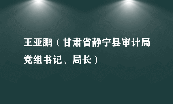 王亚鹏（甘肃省静宁县审计局党组书记、局长）