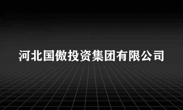 河北国傲投资集团有限公司