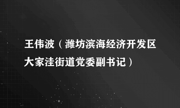 王伟波（潍坊滨海经济开发区大家洼街道党委副书记）