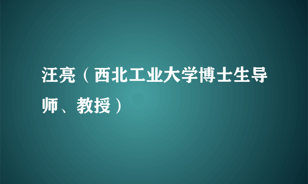 汪亮（西北工业大学博士生导师、教授）